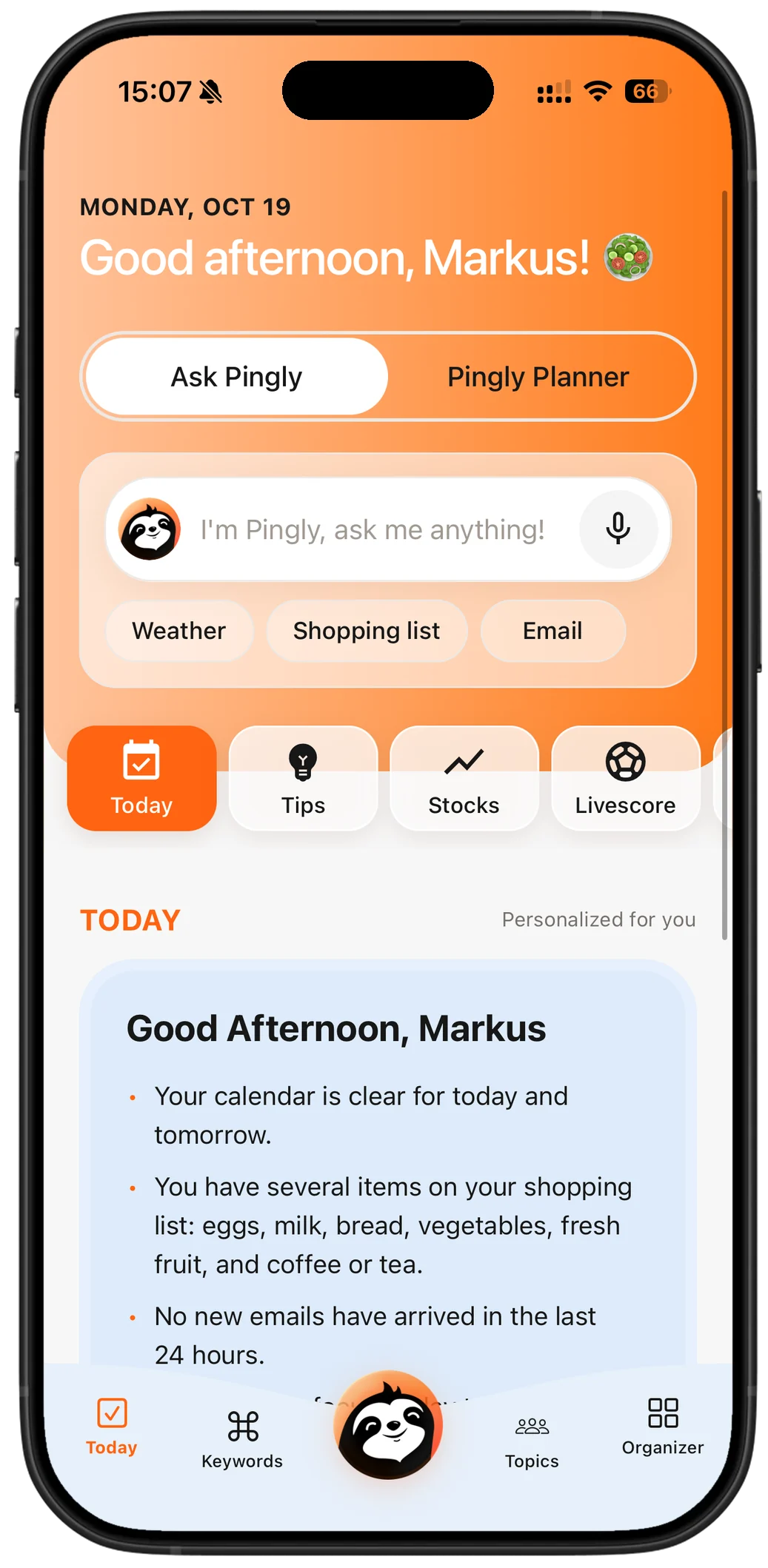 Today — ask Pingly or plan your day