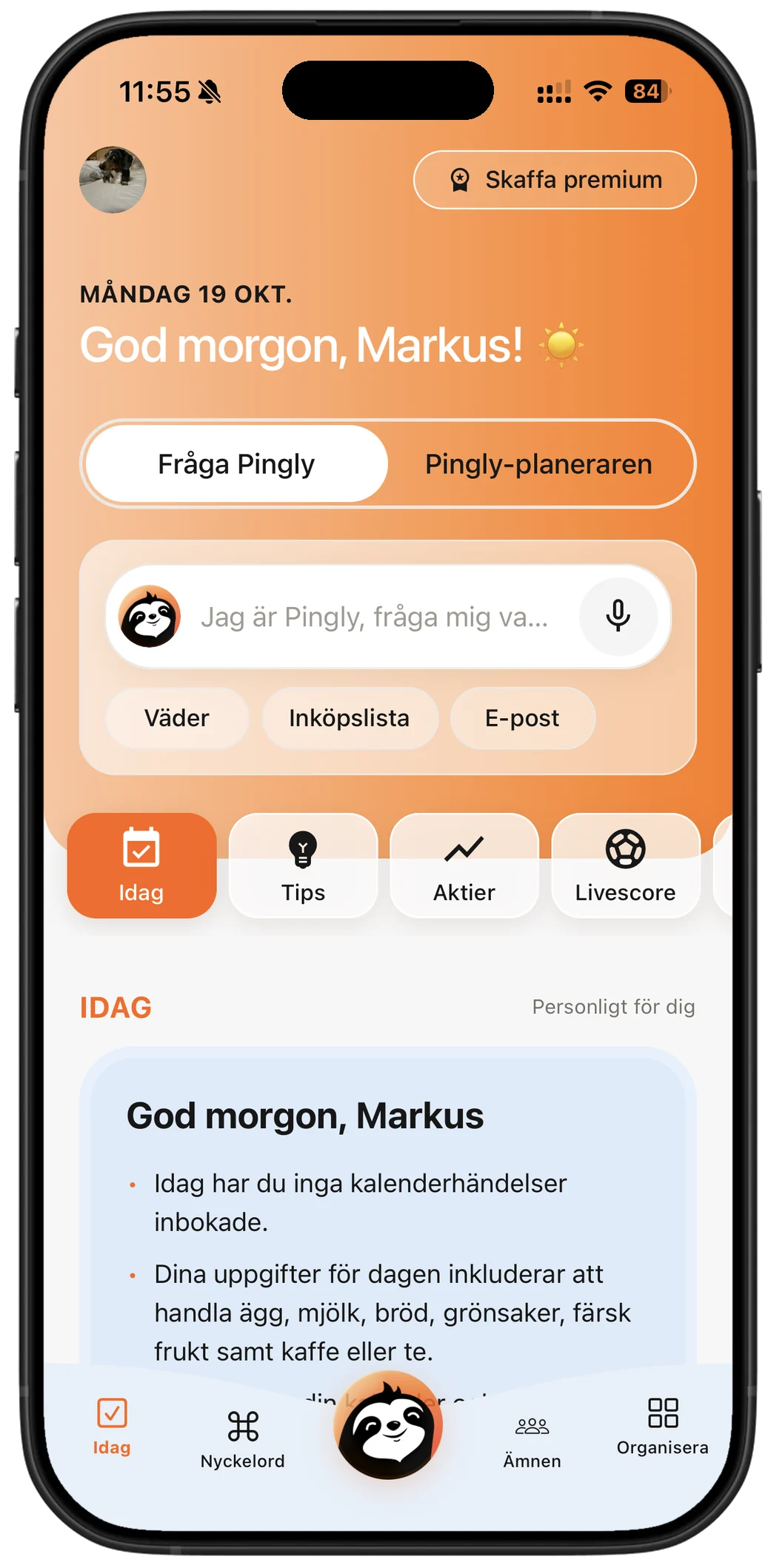 Idag — fråga Pingly eller planera din dag